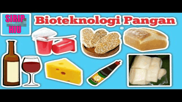 Jenis Makanan Hasil Bioteknologi