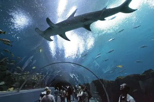 Wisata Aquarium Purbalingga