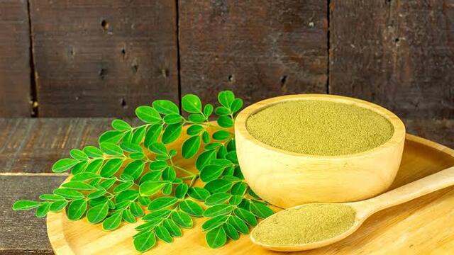 Potensi Daun Kelor sebagai Inovasi Makanan Tinggi Nutrisi