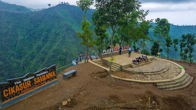 Menikmati Keindahan Savana dan Hutan di Gunung Argopuro